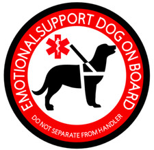 Emotional support dog d'occasion  Expédié en Belgium