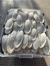 500gr seiche petite d'occasion  Gonfreville-l'Orcher