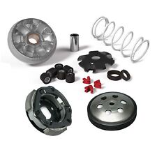 Mf2458 kit variatore usato  Cerignola