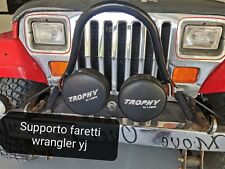 Supporto faretti completo usato  Terranova di Pollino