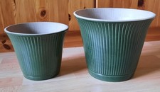 Ikea kamomill blumen gebraucht kaufen Ikea kamomill blumen gebraucht kaufen  Lünen