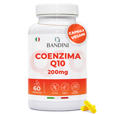 Bandini coenzima q10 usato  Rimini