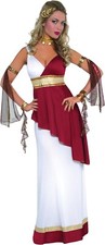 Adult fancy dress for sale  BRADFORD