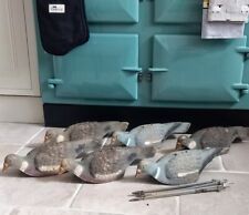 Set plastic pigeon for sale  WALLINGFORD