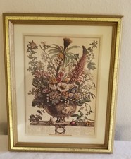 Robert furber months for sale  Danbury