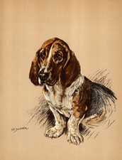 Vintage basset hound d'occasion  Expédié en Belgium