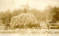 Usado, CENA DE FAZENDA, CARRINHO DE BOI PERTO DE Liverpool, nova escócia, cartão postal vintage canadá (aa260) comprar usado  Enviando para Brazil