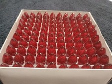 16v red candle for sale  Lincoln