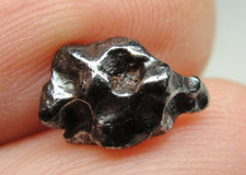 Seymchan pallasite pmg for sale  Hebron