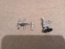 Rogue trader tarantula for sale  HINCKLEY