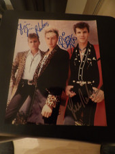 Stray cats signed for sale  TIPTON