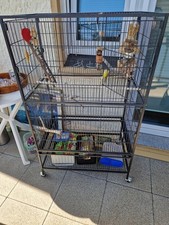 Nymphensittichkäfig zubehör gebraucht kaufen  Bielefeld