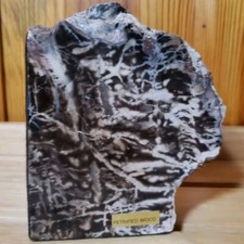 Beautiful petrified wood for sale  Calhoun