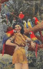 Cartão postal vintage década de 1940 araras PARROT JUNGLE Miami, Flórida Tropical Cypress comprar usado  Enviando para Brazil