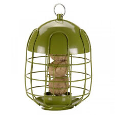 Chapel wood acorn for sale  WELSHPOOL