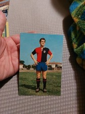 Cartolina postale boninsegna usato  Torino