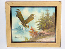 Framed bald eagle for sale  Rogers