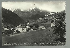 Cellentino val pejo usato  Oliveto Lario