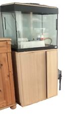 Fluval roma fish for sale  HOUNSLOW
