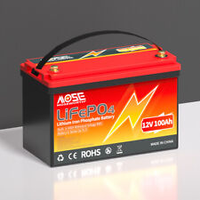 12v 100ah lifepo4 for sale  USA