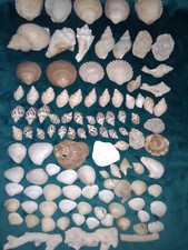 Large assorted set for sale  SWANSEA
