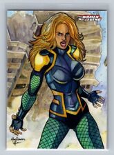 Black canary 2013 for sale  Spencer