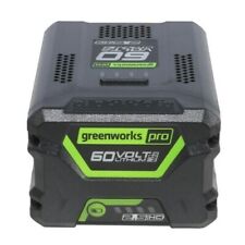 Genuine original greenworks for sale  Garner