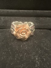 Drachenfels rose antoine gebraucht kaufen  Bürstadt