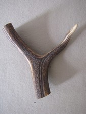 deer antler walking stick handles for sale deer antler walking stick handles for sale BIRMINGHAM