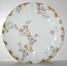 Antique co. haviland for sale  Louisville
