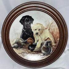 Knowles field puppies for sale  Waymart