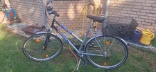 Damen trekkingrad hercules gebraucht kaufen  Wesseling