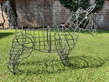 Große scotch terrier gebraucht kaufen  Bocholt