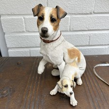 jack russell pups for sale jack russell pups for sale BIRMINGHAM