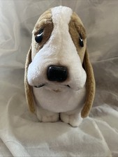Hush puppies dog for sale  LINCOLN