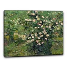 Niik quadro rose usato  Erba
