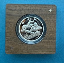 Silber 2018 wassersport gebraucht kaufen  Dresden