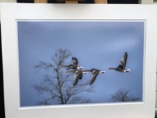 Original fine art for sale  BRISTOL