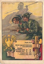 Alpini scuola allievi usato  Rovigo