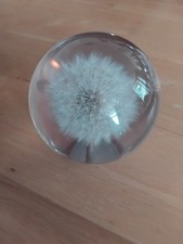 Hippocampus vintage paperweigh for sale  SOUTHEND-ON-SEA