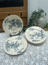 Terre fer plates d'occasion  Expédié en Belgium