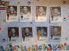 Panini dfb frauen gebraucht kaufen  Frankfurt am Main