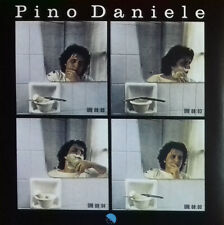 Pino daniele pino usato  Roma