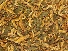 Turtle terrapin food for sale  HOLYWELL
