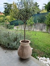 Giara antica per usato  Tortona