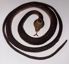 Black rubber coiled for sale  Columbia