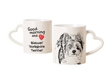 Biewer yorkshire terrier d'occasion  Expédié en France