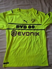 Borussia dortmund champions gebraucht kaufen  Freiberg am Neckar
