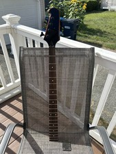 2011 Epiphone Thunderbird pescoço baixo com placa de pescoço e parafusos comprar usado  Enviando para Brazil