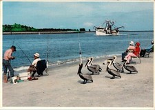 Continental postcard fisherman for sale  San Gabriel